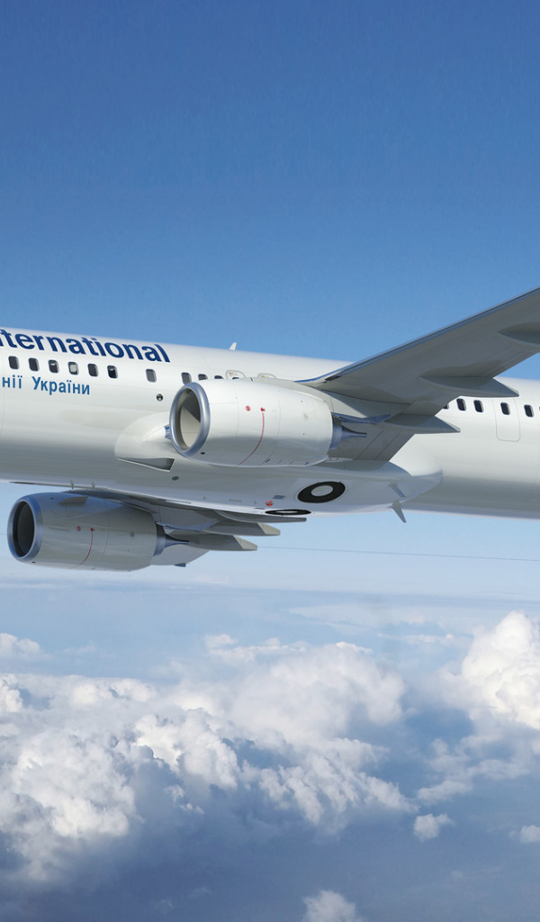 Boeing 737 авиакомпании МАУ в небе  