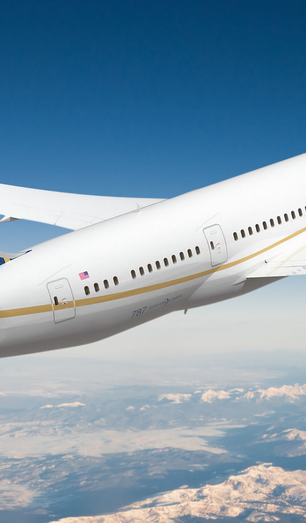 Пассажирский самолет авиакомпании United Airlines 