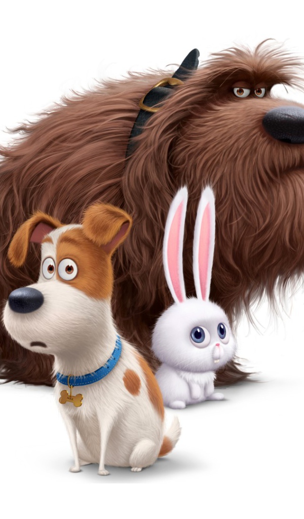 Макс, Дюк, Снежок персонажи мультфильма Секретная жизнь домашних животных 