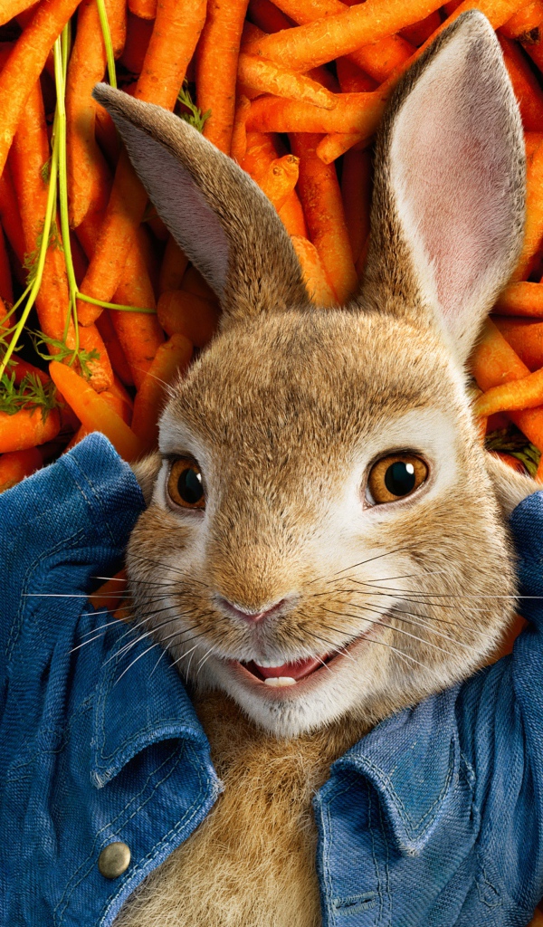 Кролик персонаж мультфильма Приключения Кролика Питера, 2018