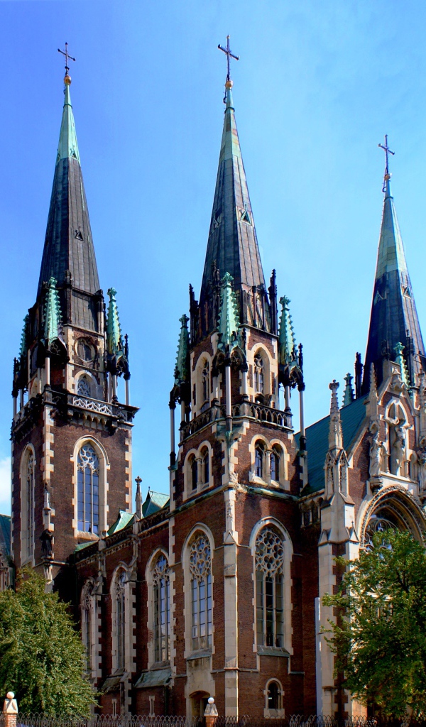 Костел Святой Елизаветы город Львов   