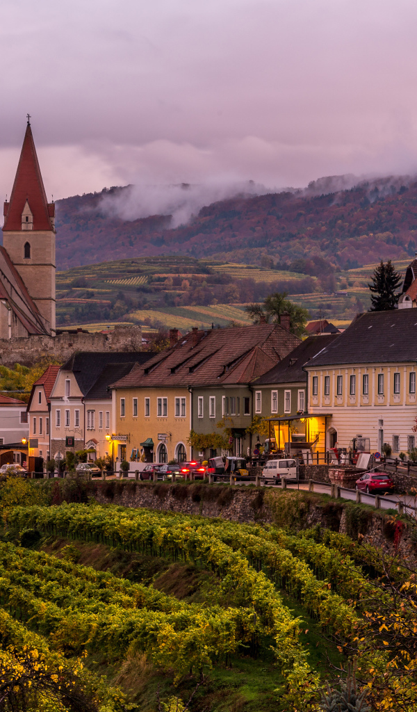 Дома и церковь в городе, Австрия 