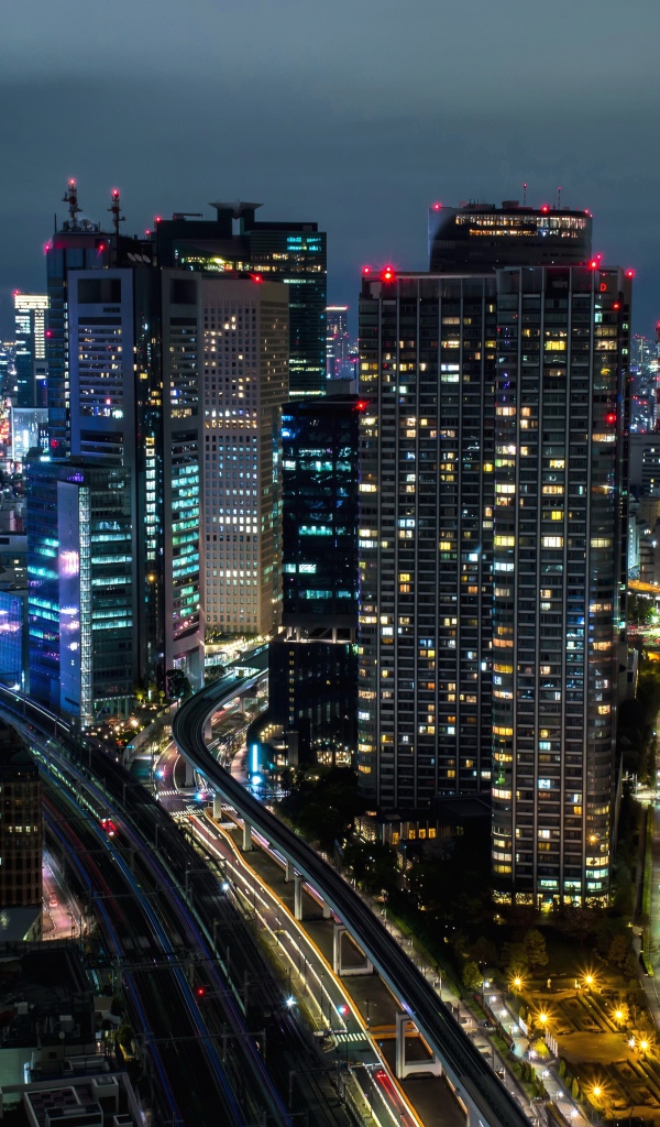 Ночной красивый город Токио 