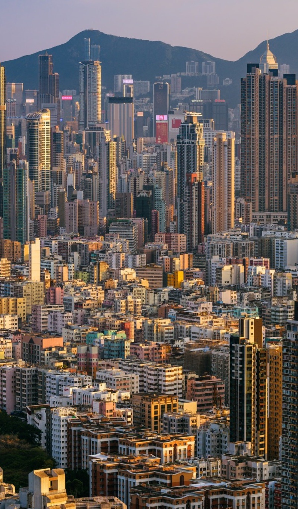 Panorama of Hong Kong, China