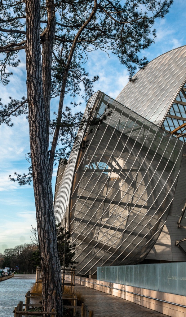 Необычное современное стеклянное здание,  Индия 