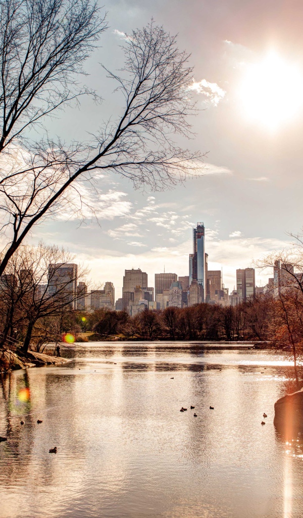 Вид на небоскребы из  городского парка 