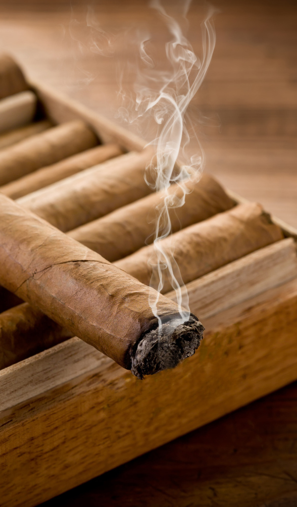 Дымящаяся сигара на столе 