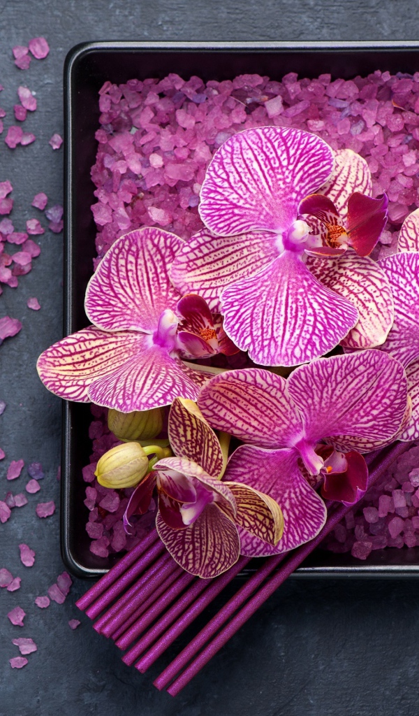 Цветы орхидеи с ароматическими палочками, камнями и солью