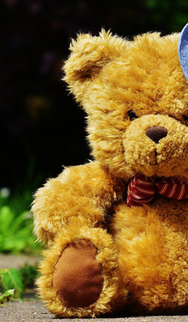 Плюшевый медведь в шляпке сидит на дороге