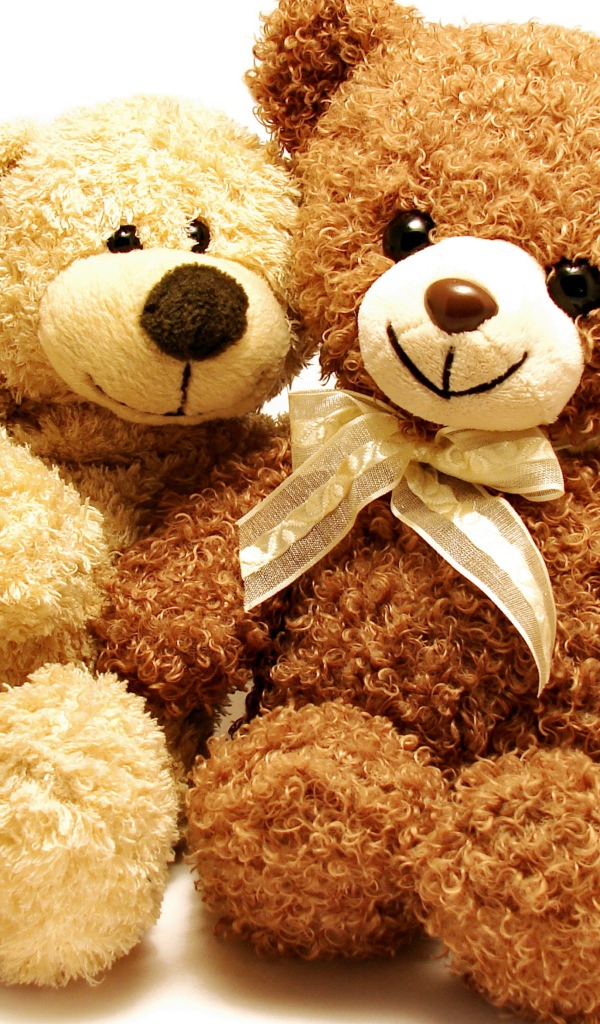 Два плюшевых медвежонка на белом фоне