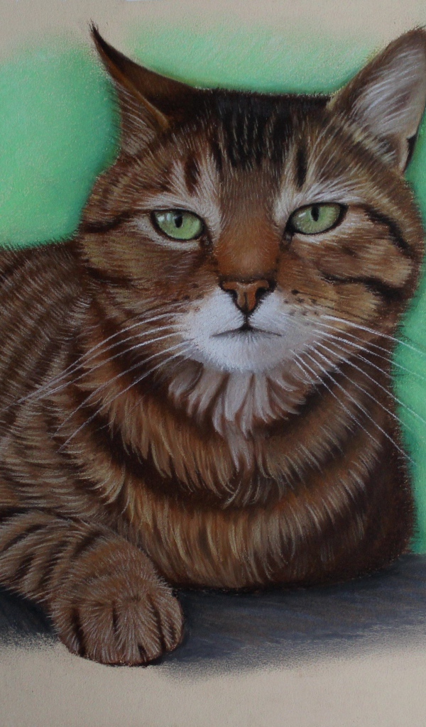 Нарисованный зеленоглазый кот
