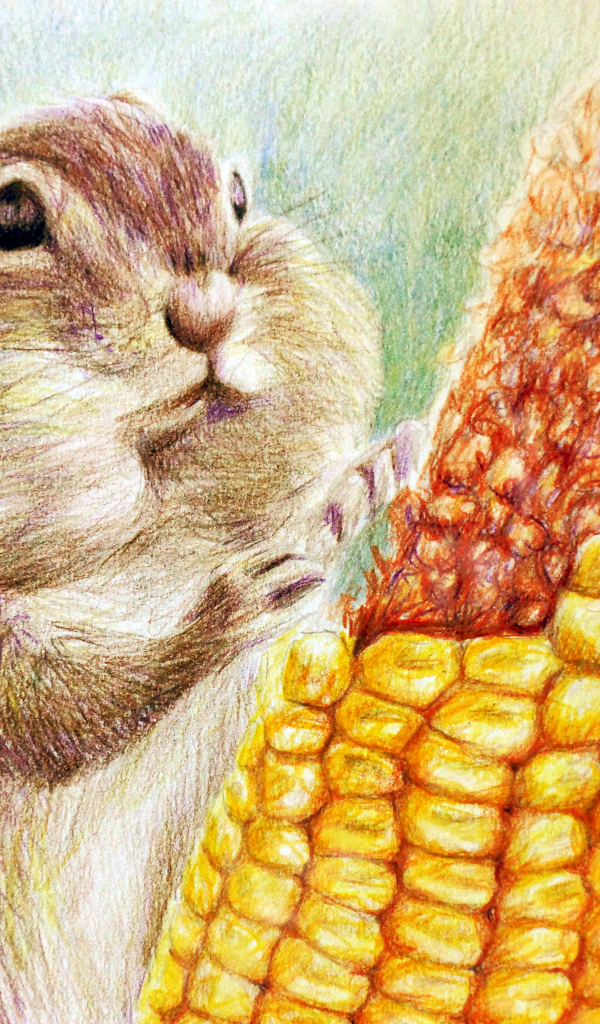 Painted chipmunk with corn
