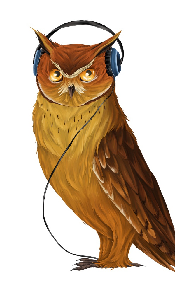 Нарисованная сова в наушниках  на белом фоне