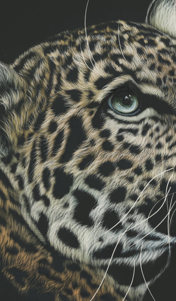 Нарисованная морда леопарда