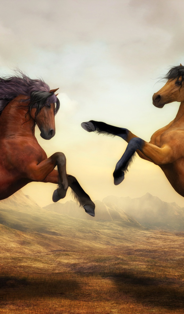 Две красивые нарисованные лошади