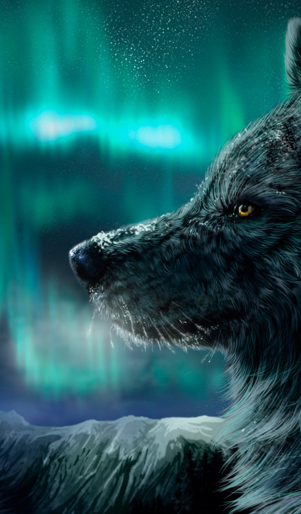 Красивый черный волк на фоне полярного сияния, фэнтези