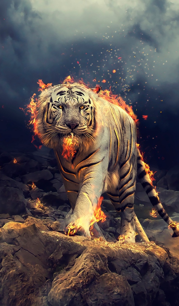 Огненный тигр идет по камням