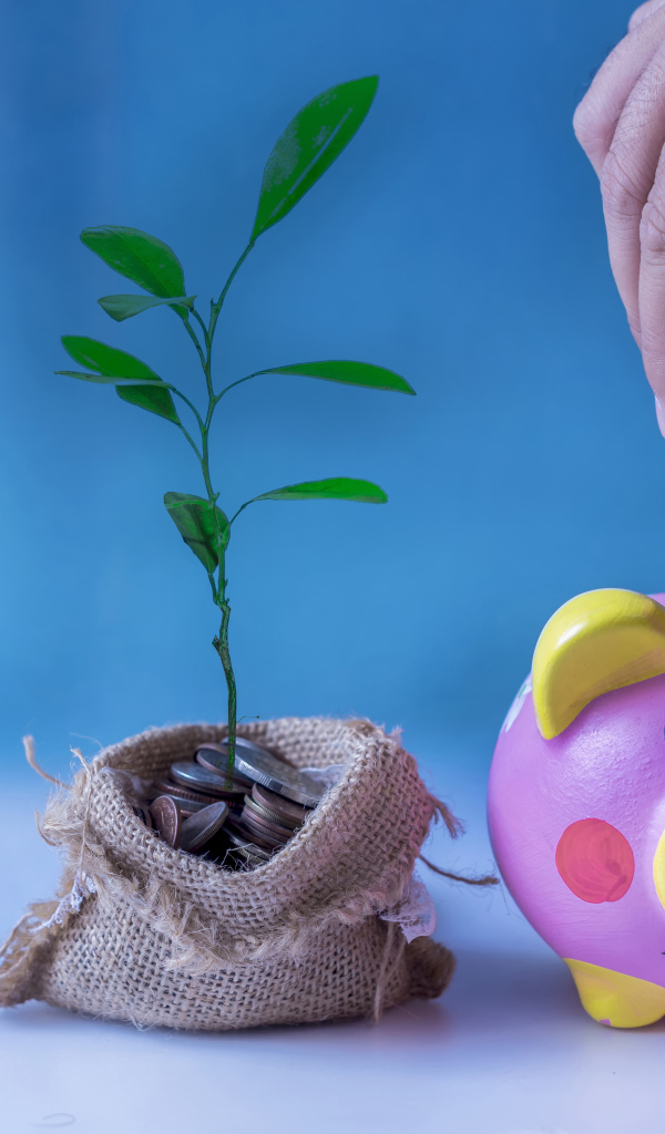 Свинья копилка и мешочек монет с денежным деревом на голубом фоне