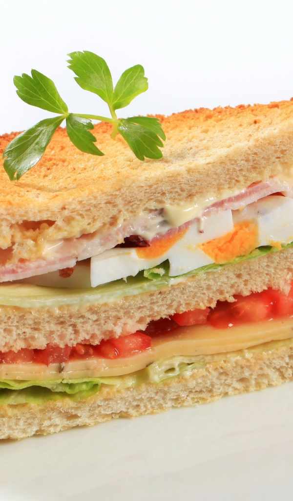 Аппетитный сэндвич с овощами на белом фоне