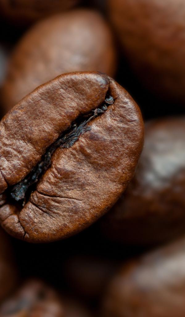 Кофейное зерно крупным планом
