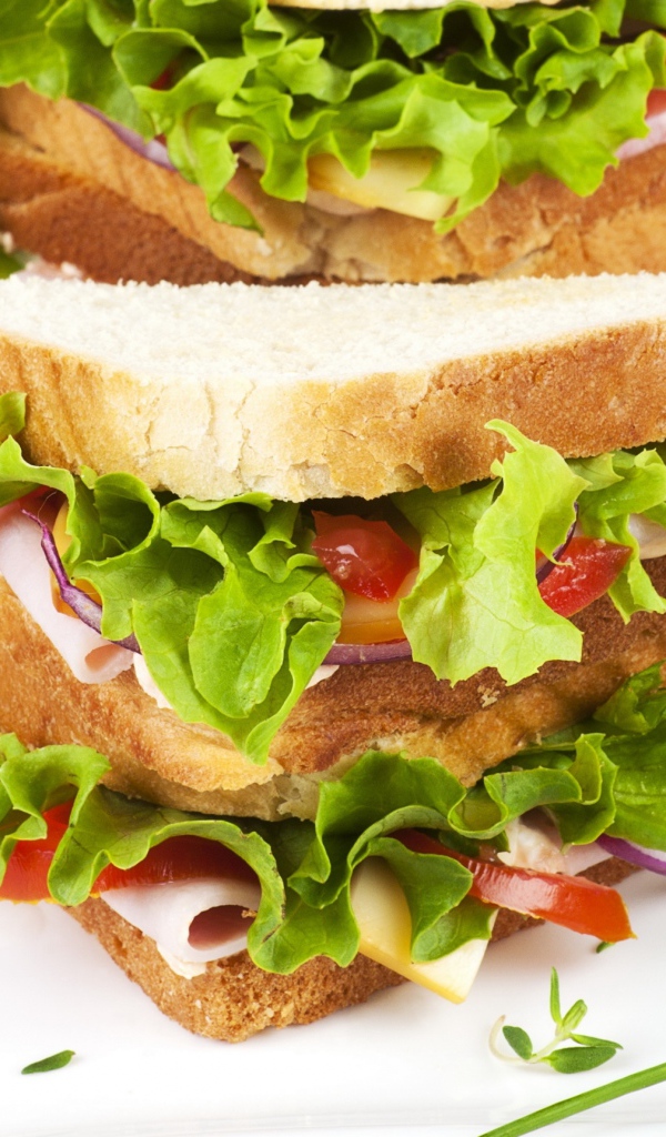 Вкусный сэндвич с зеленью и ветчиной