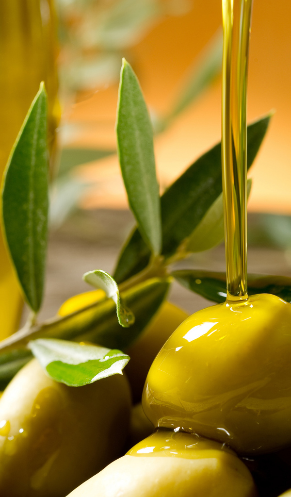 Зеленые оливки с оливковым маслом