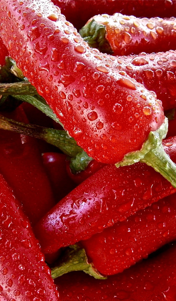 Красный перец чили в каплях воды крупным планом