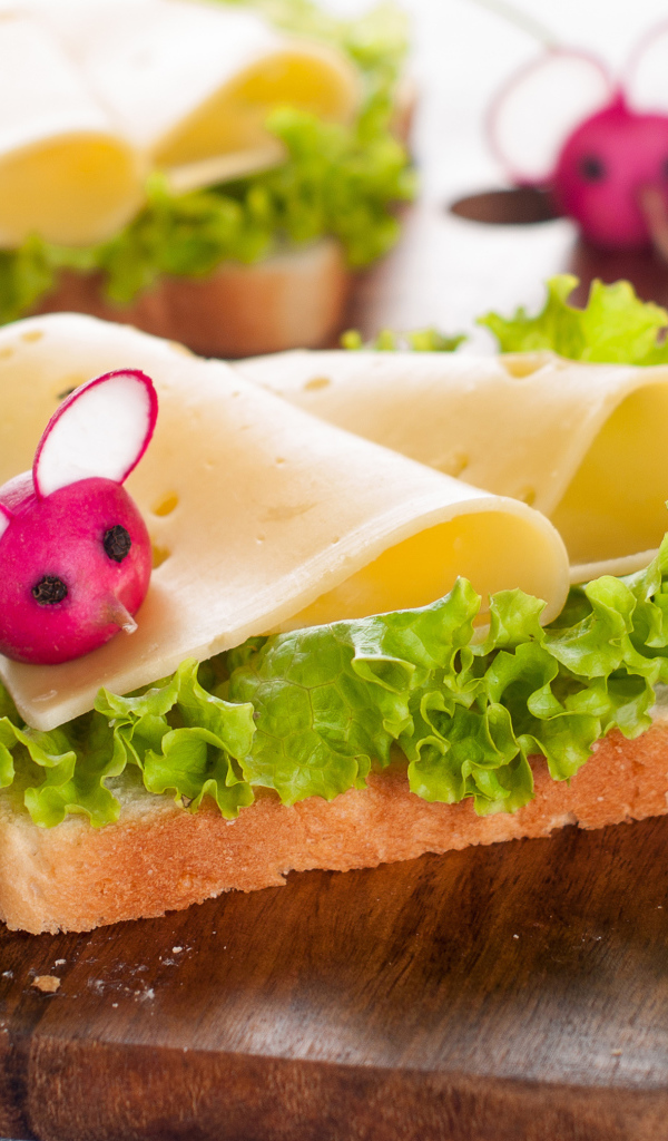 Бутерброд с сыром, салатом и редисом 