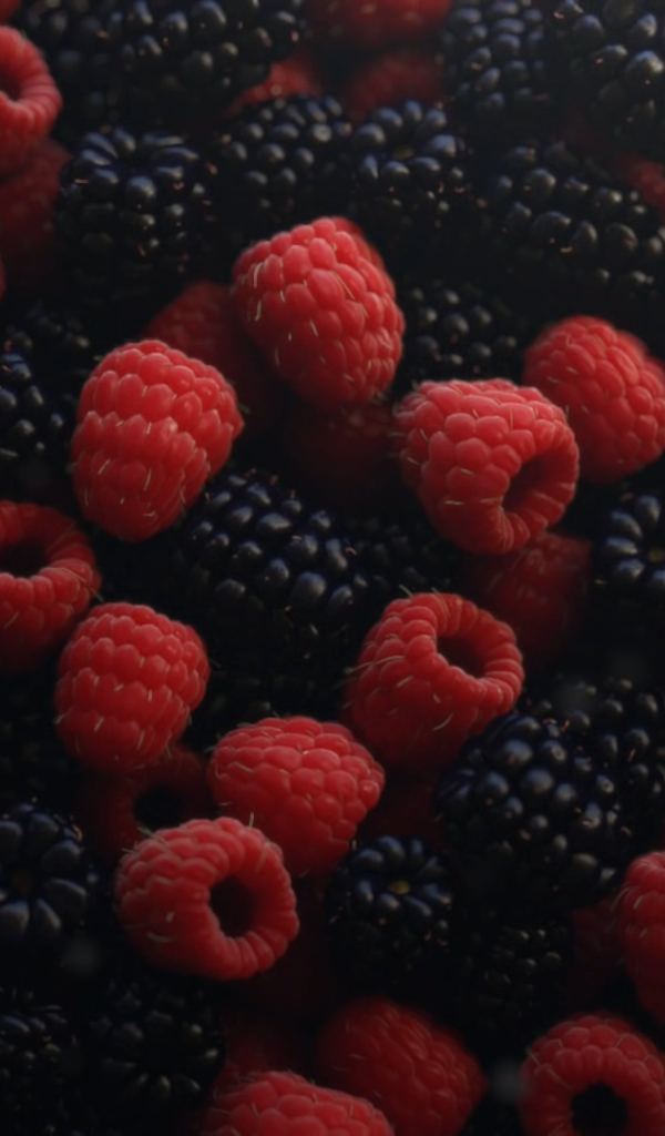 Аппетитная свежая малина и ежевика 