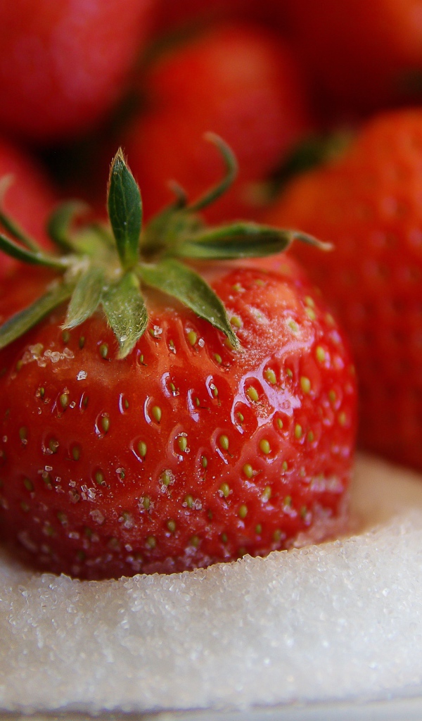 Аппетитная спелая клубника с сахаром 