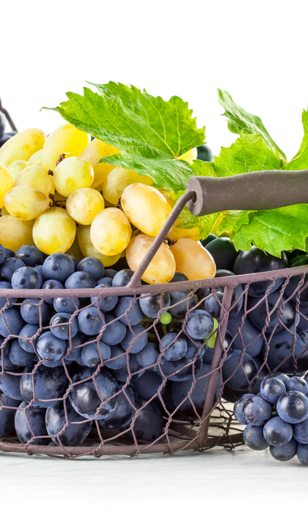 Корзина синего и белого винограда на белом фоне