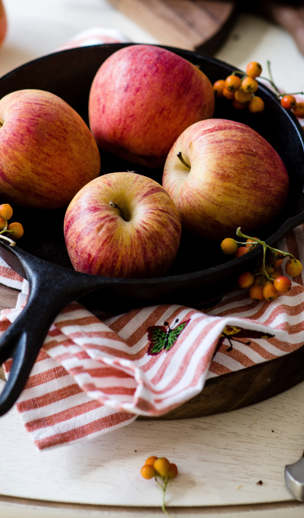 Красивые красные яблоки на сковороде с ягодами рябины