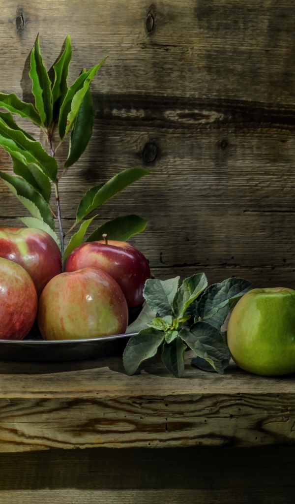 Красивые красные яблоки на деревянной лавке