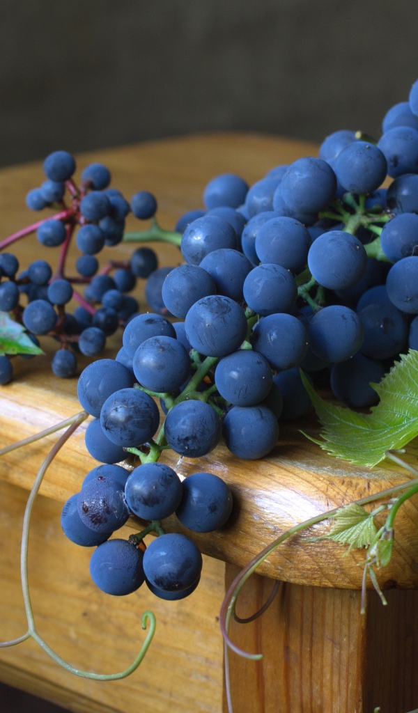 Синий виноград с зелеными листьями лежит на деревянном столе