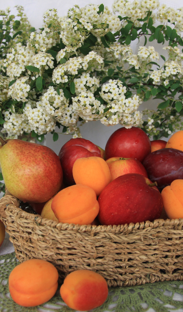 Свежие яблоки, груши, сливы и абрикосы в плетеной корзине на столе с белыми цветами
