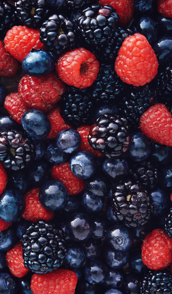 Свежие ягоды черники, малины и ежевики крупным планом