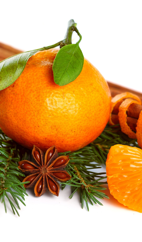Мандарин с веткой ели, корицей и бадьяном на белом фоне