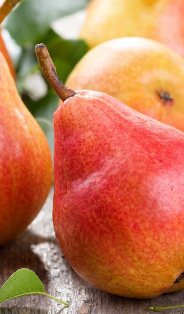 Зрелые аппетитные красные груши