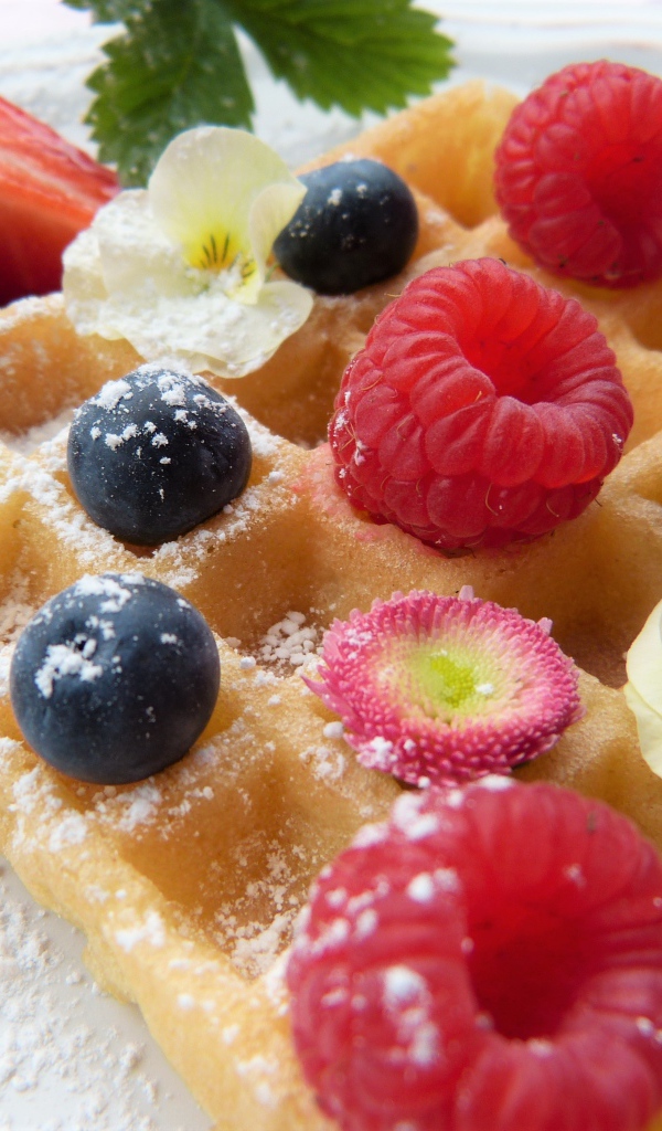 Вафля с фруктами и сахарной пудрой 