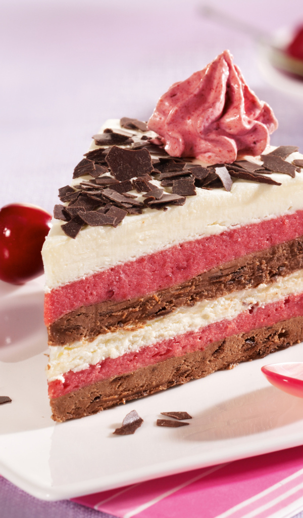 Кусок торта с вишневым и шоколадным кремом на белой тарелке