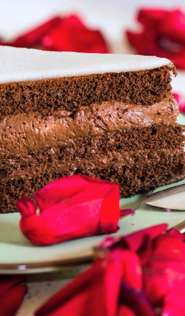 Кусок торта с шоколадным кремом и красными лепестками розы