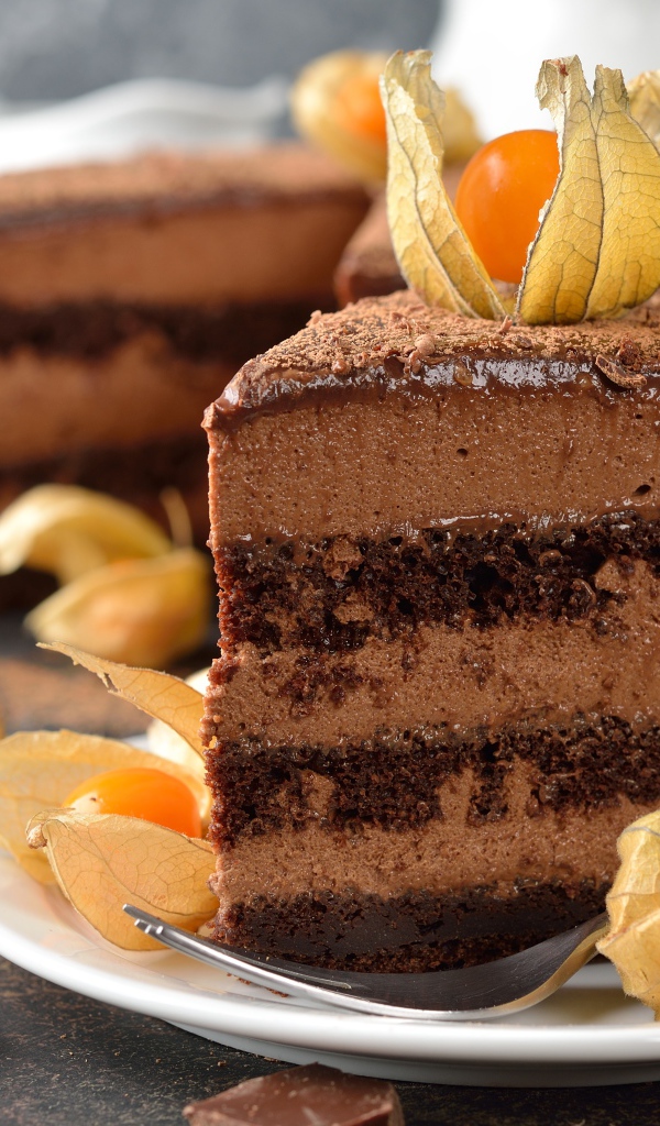 Кусок шоколадного торта с ягодами физалиса