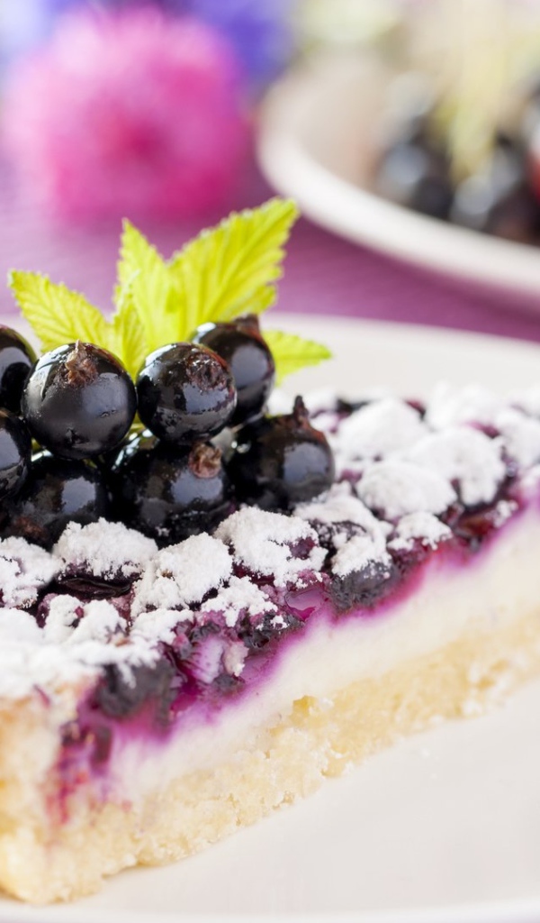 Кусок пирога с черной смородиной и сахарной пудрой
