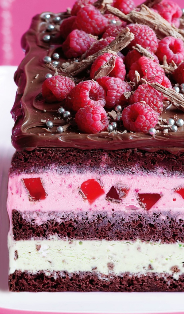 Аппетитный торт со свежей малиной и шоколадом