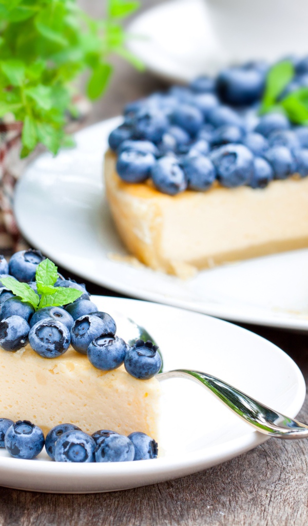 Аппетитный творожный пирог с черникой