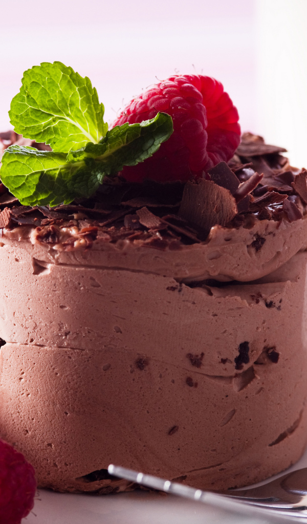 Аппетитный десерт с шоколадом и свежими ягодами малины