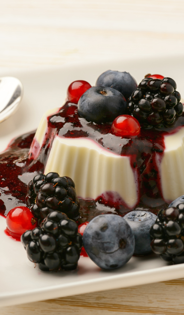 Аппетитное желе с ягодами черники, смородины и ежевики и джемом