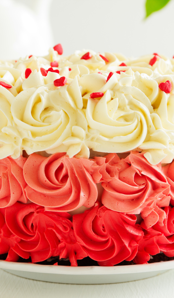 Красивый праздничный торт с красным и белым масляным кремом