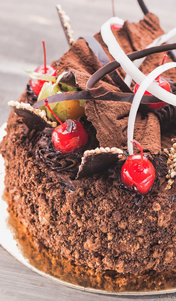 Торт с шоколадом и ягодами вишни к празднику