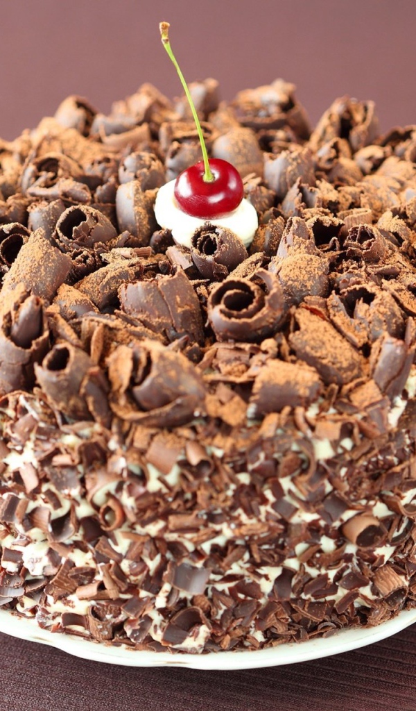 Торт в шоколадной стружке с вишнями 